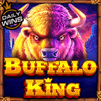 Vs4096bufking T